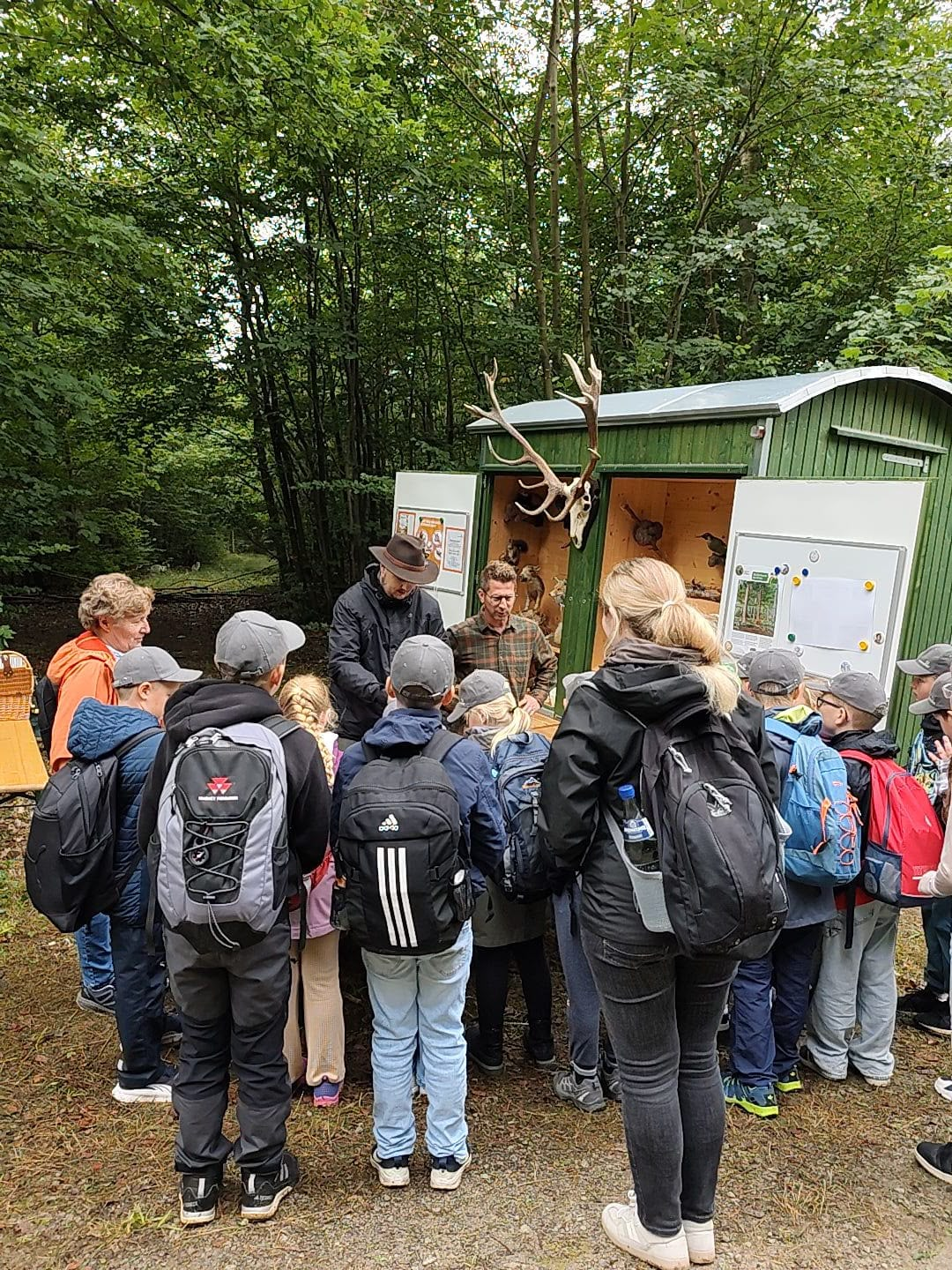 Kinder an der Lernstation mit heimischen Waldtieren